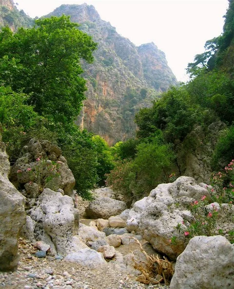 diktamos gorge tour